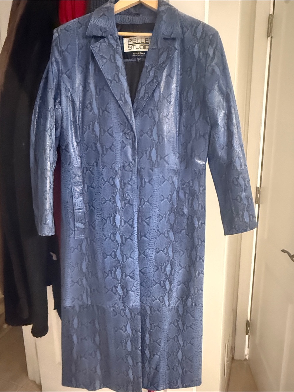Vintage all Leather coat